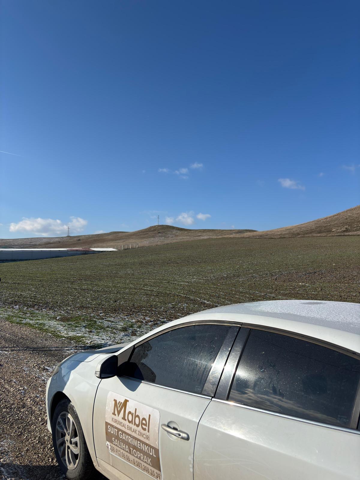 MABEL'DEN KAÇIRILMAYACAK TARLA